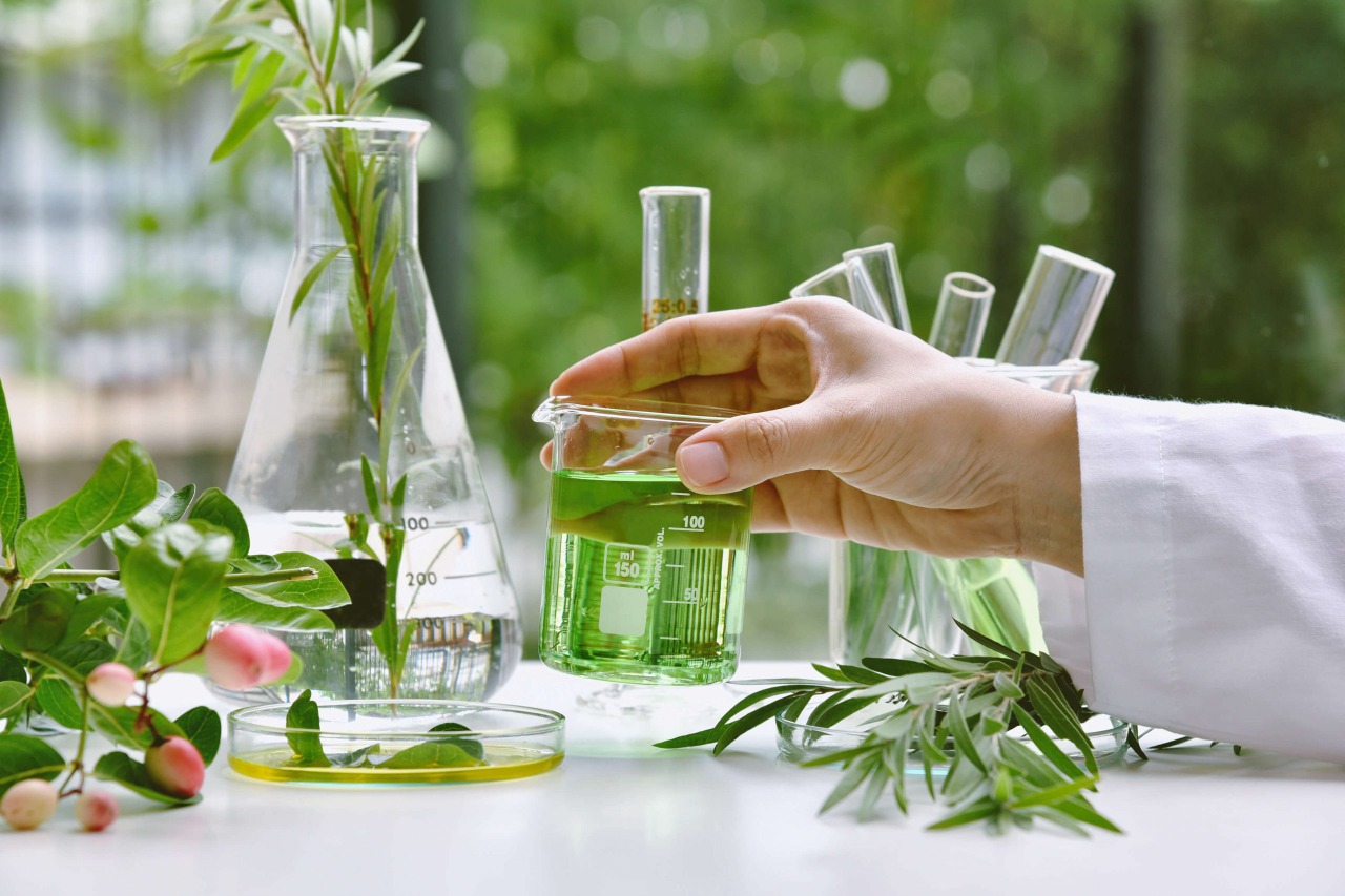 Herbal Extracts  Manufacturers