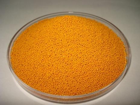 Curcumin Pellets