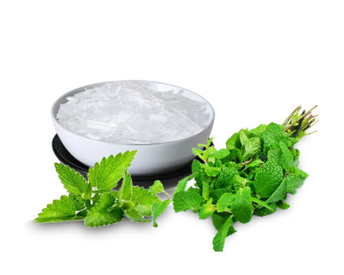 Mint Products  Suppliers